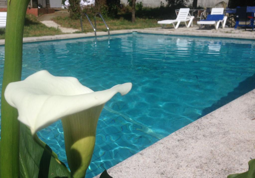 פורטונובו Hotel Vida Playa Paxarinas מראה חיצוני תמונה